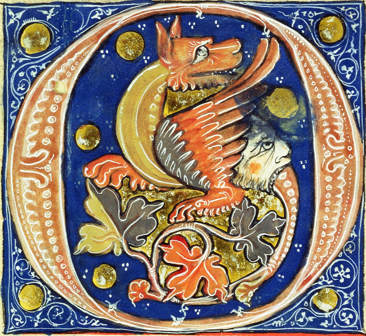 Historikert initial O som föreställer en bevingad griffin av French School