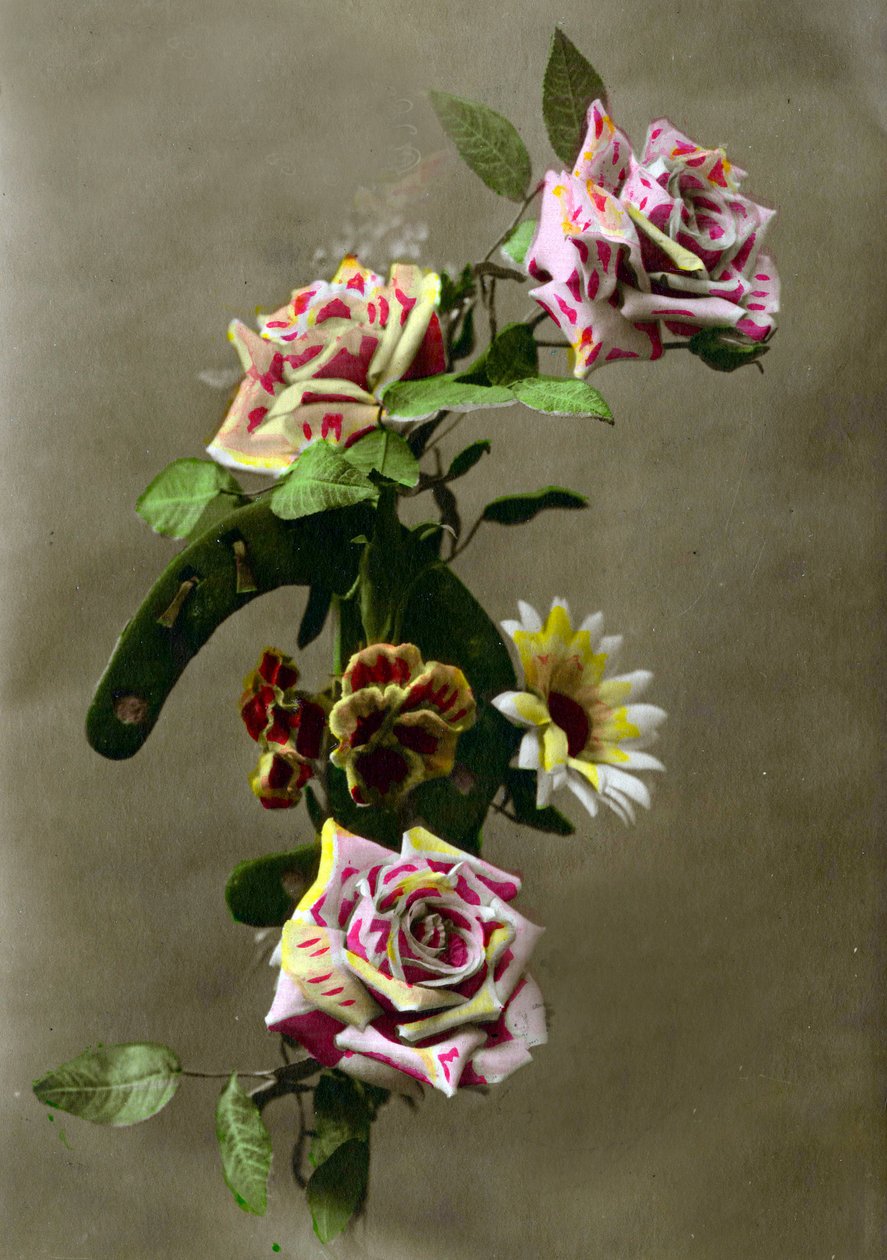 Hästsko och blommor ca 1898 (handtonat foto) av French School