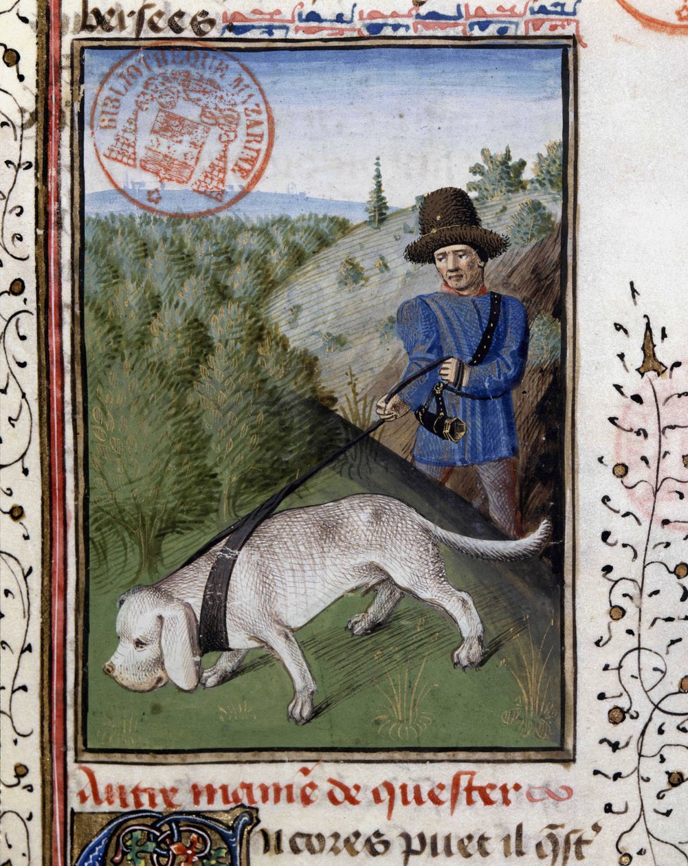 Jakthund som hålls i ett härligt koppel - i "" Jaktbok av Gaston Phoebus, greve av Foix, Lord of Béarn"" av French School