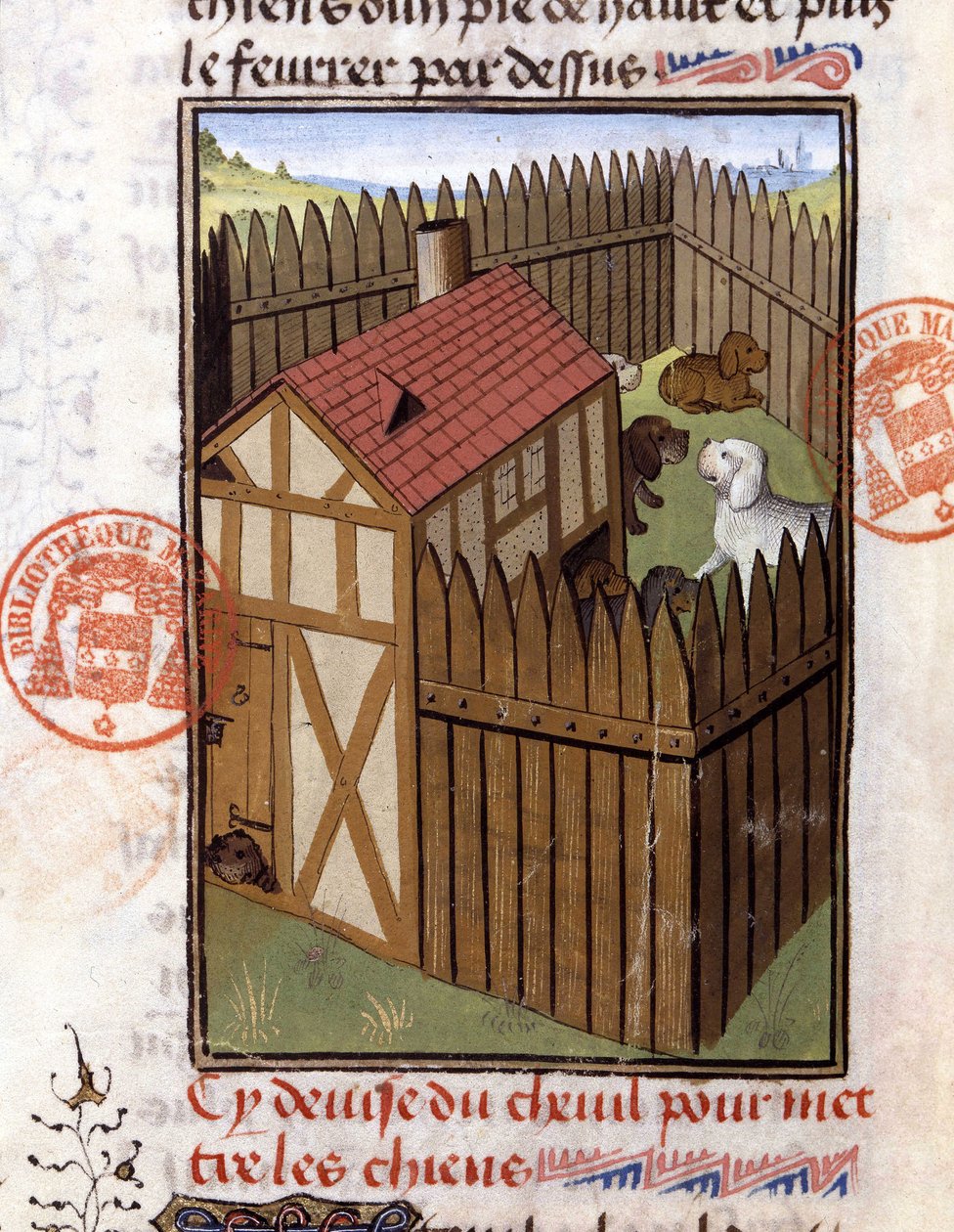 Jakthundar i en kennel - i "" Jaktbok av Gaston Phoebus, greve av Foix, Lord of Bearn"" av French School
