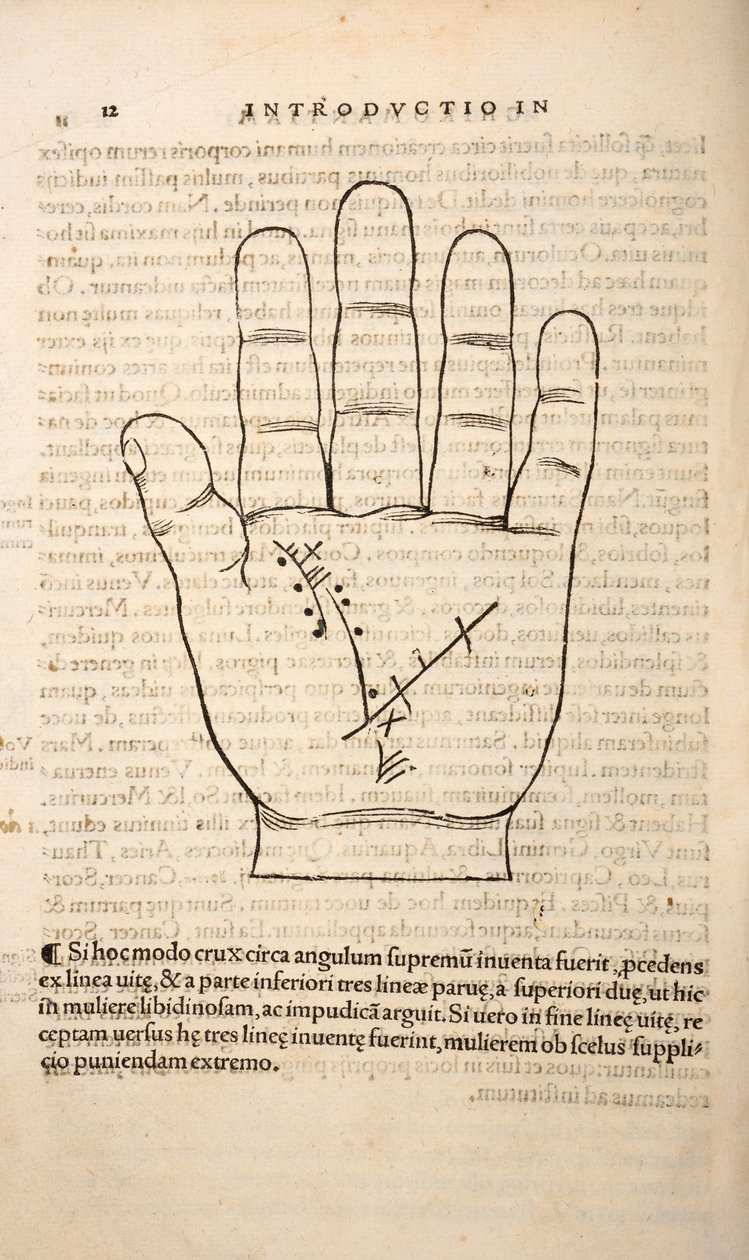 Illustration från Chiromantia av Joannes Indagioe, Strasbourg, 1531 (tryck & gravyr) av French School