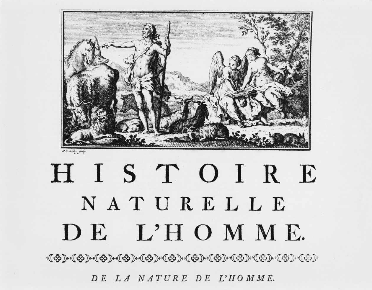 Illustration från Natural History of Man av Georges de Buffon (1707-88) publicerad 1749, Paris av French School
