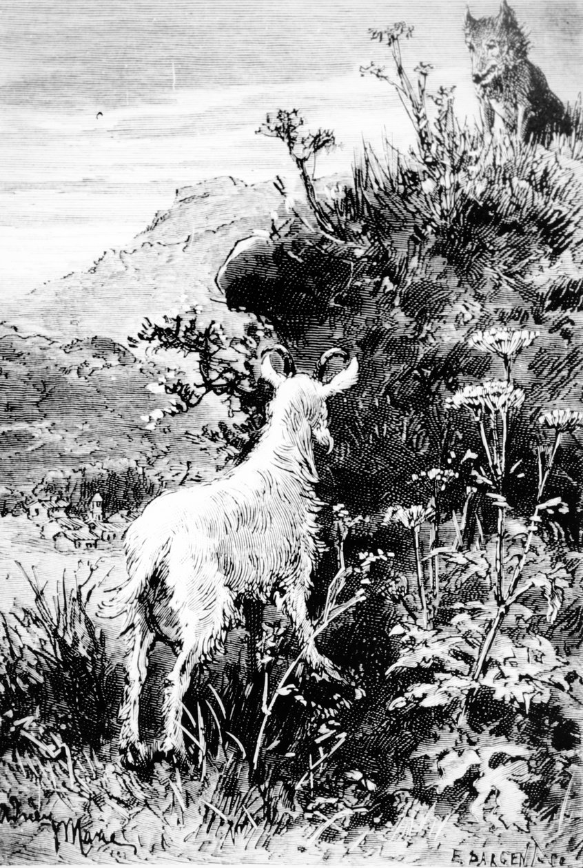 Illustration från Mr Seguins Goat av Alphonse Daudet av French School