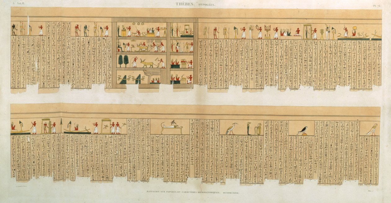 Illustrationer av ett Pampus-manuskript med hieroglyfer, Hypogees, Thebe, plåt 75 från Vol II av `Descriptions of Egypt`, graverad av Willemin, pub. 1822 (akvatint) av French School