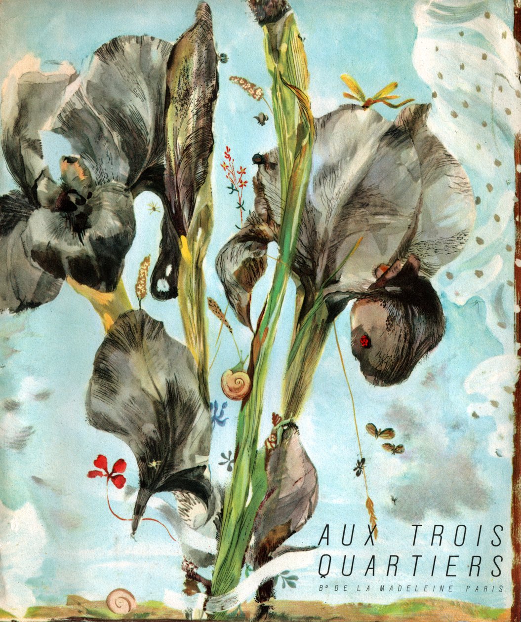 Iris (blomma). (Illustration, cirka 1920) av French School