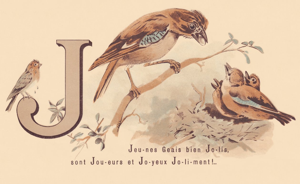 J: Young Jays Pretty är spelare och glad Jolily! av French School