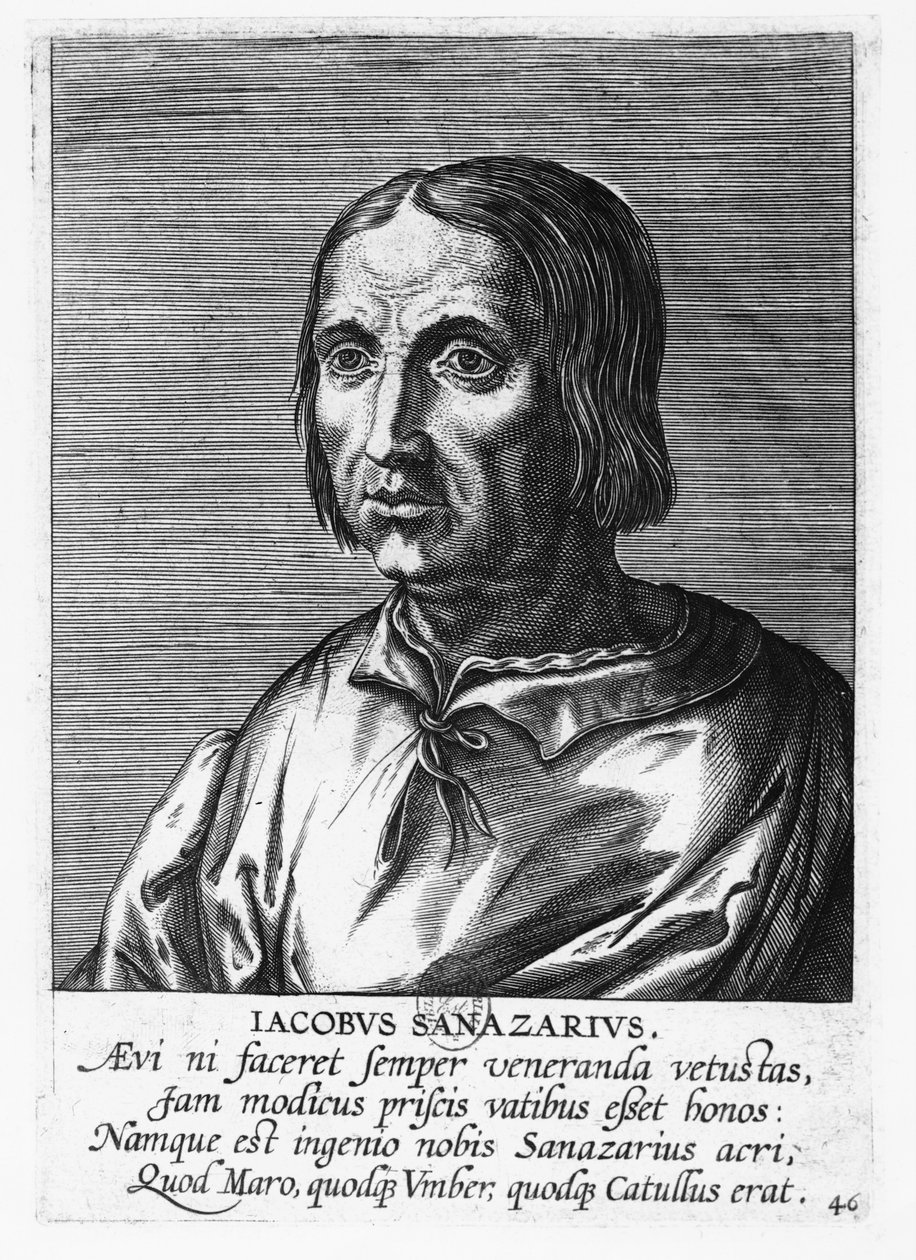 Jacopo Sannazaro (gravyr) av French School