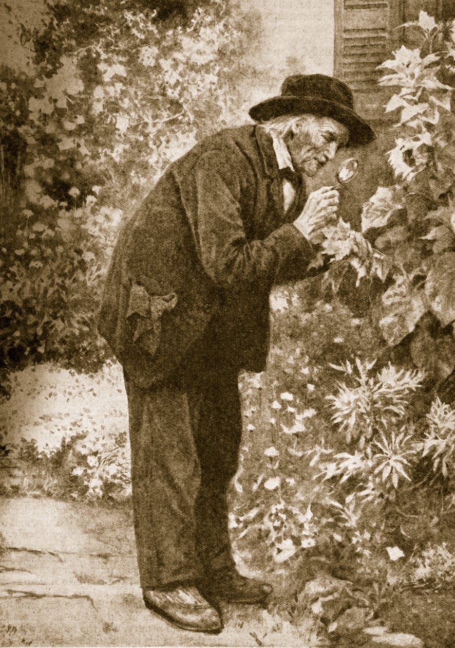 Jean-Henri Fabre observerar insekter av French School