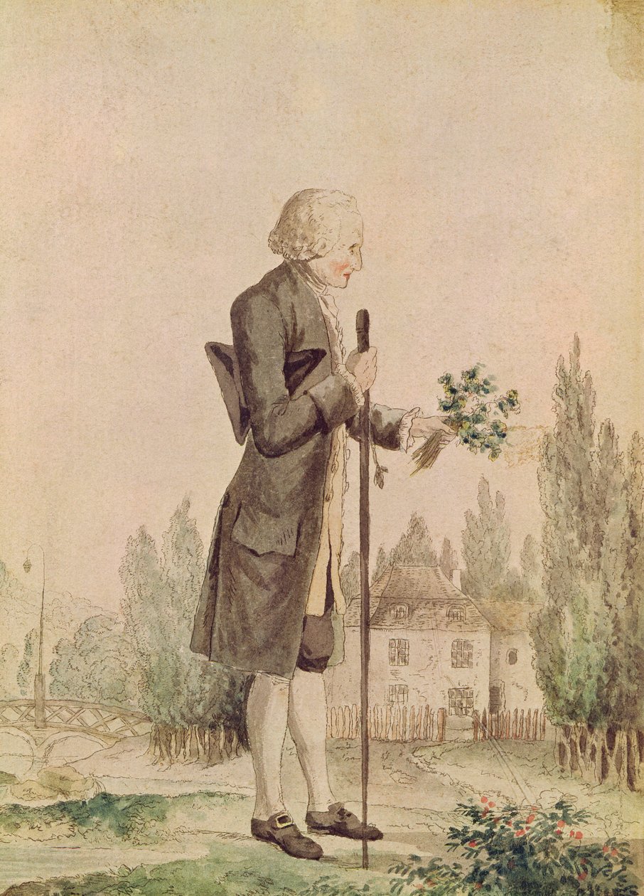 Jean-Jacques Rousseau (1712-78) samlar örter i Ermenonville av French School