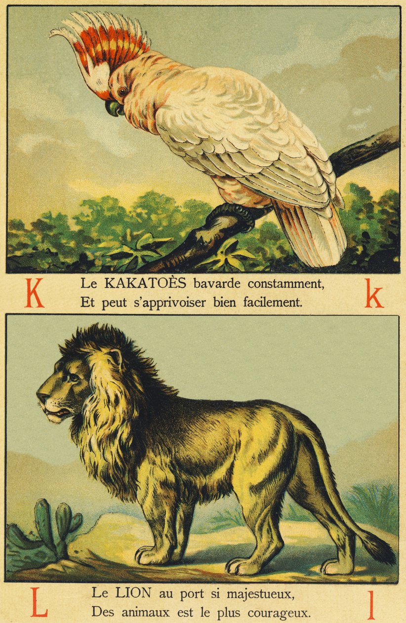 K som Kakatoes och L som Lion av French School