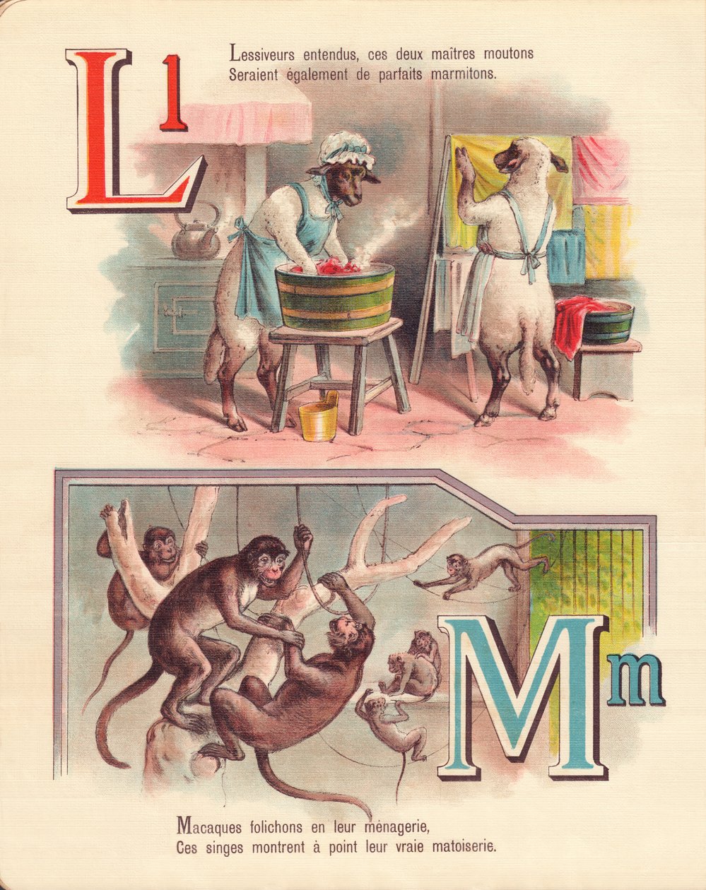L M: Lamm, tvätt, apor, menageri av French School