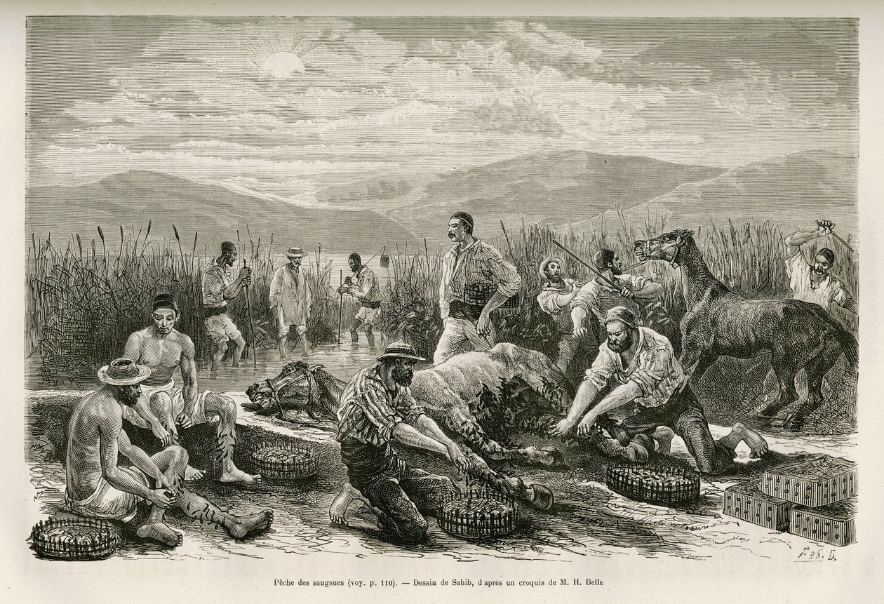 The Fishing of the Leeches, ritad av Sahib, för att illustrera historien om Henry Belle: Resa i Grekland av French School