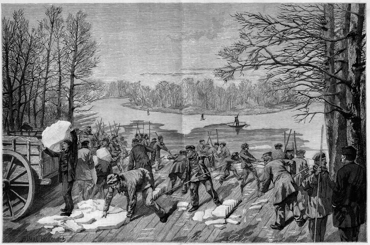 Skörden av is på de frusna sjöarna i Bois de Vincennes, i "The Illustrous World"" 1887. av French School