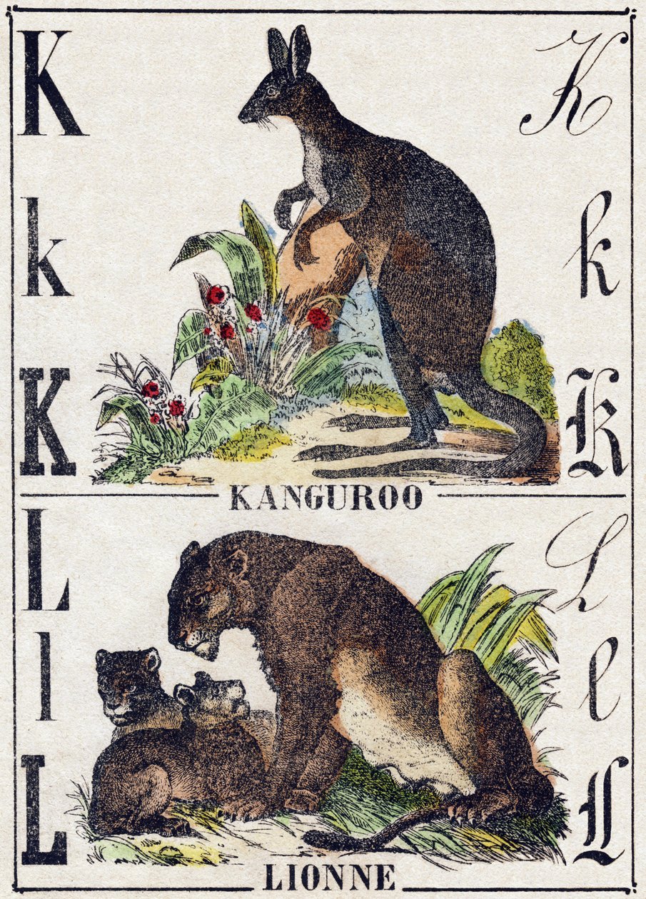 Bokstaven K L; K Kanguroo; Lejoninnan. Gravyr i "Wild Animals Alphabet". 9:e serien. Bildspråk av Epinal, Pellerin, tryckare-förlag, cirka 1870. Gravyrer på trä, stencilerade. 16 sidor. Storlek: 20 x 15 cm. Privat samling av French School