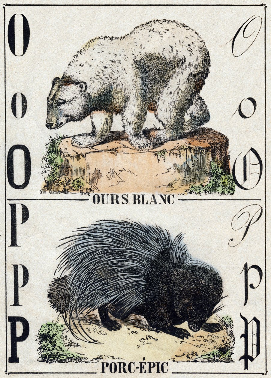 Bokstaven O Björn; P Fläsk-epos (Gris-epos). Gravyr i "" Alphabet des animaux sauvages"". 9:e serien. Bildspråk av Epinal, Pellerin, tryckare-förlag, ca 1870. Gravyrer på trä, stencilerade. 16 sidor. Mått: 20 x 15 cm. Privat samling av French School