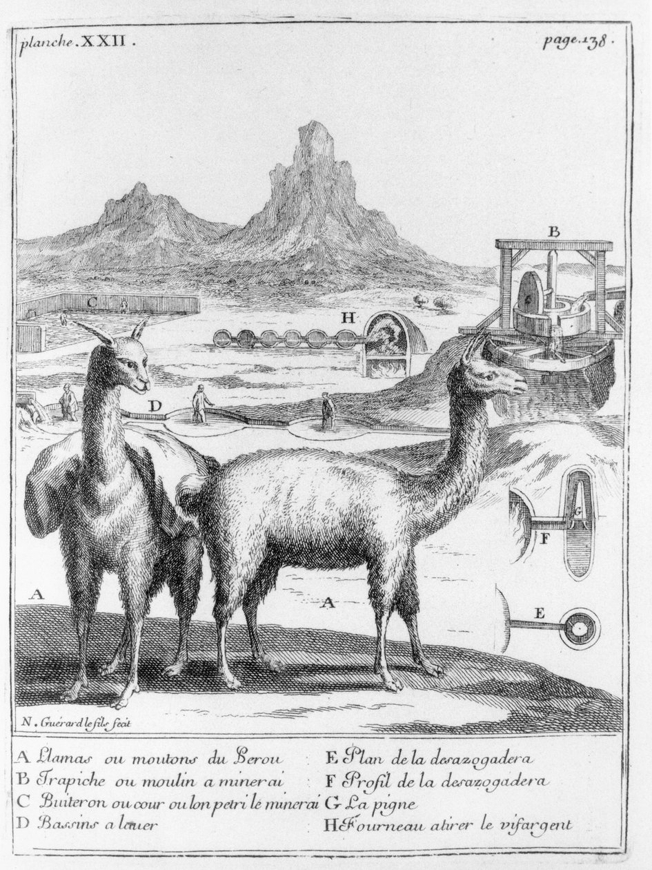 Lamor och diagram rörande mineralutvinning, från Relation du voyage de la mer du sud aux cotes du Chily et du Perou av A.F. Frezier, 1716 av French School