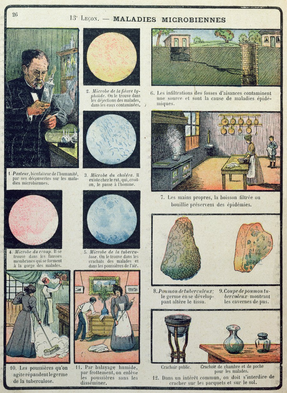 Louis Pasteur (1822-1895) och bakteriella sjukdomar, från Physical and Natural Sciences, Paris, 1908 av French School