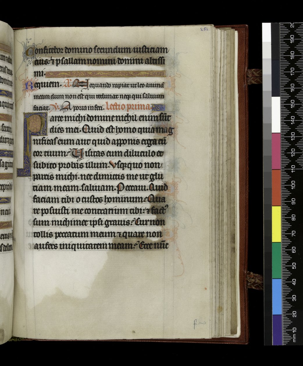 MS 300 f.251r, från Psalter and Hours of Isabella of France, Paris, c.1265-70 (penna & bläck och tempera på pergament) av French School