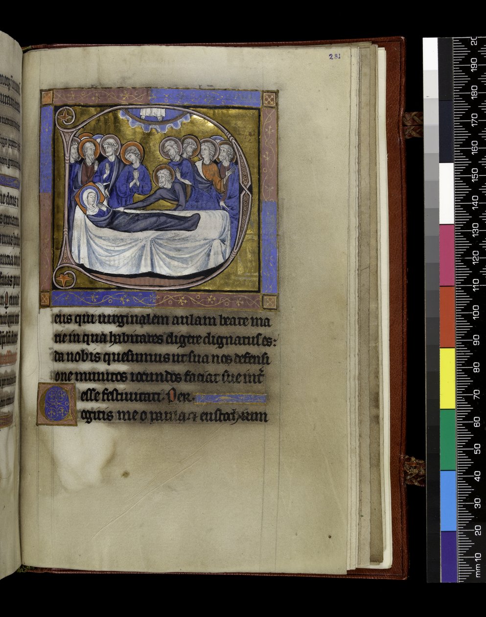 MS 300 f.281r, Samlar, predikningar och lektioner för antagandet, från Isabellas psaltare och timmar av Frankrike, Paris, c.1265-70 (penna & bläck och tempera på pergament) av French School