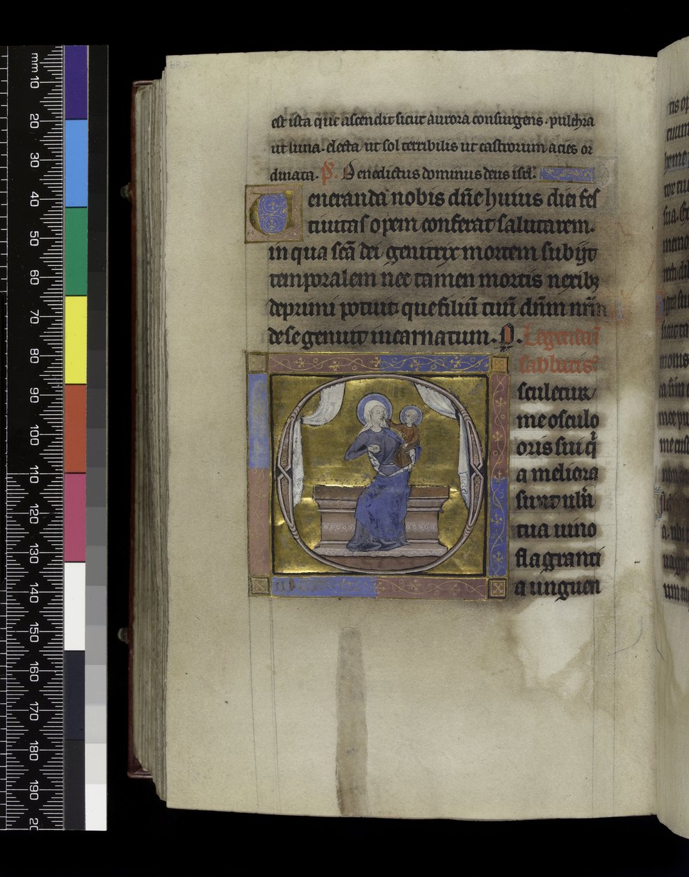 MS 300 f.284v, Song of Songs, från Isabellas Psalter and Hours of France, Paris, c.1265-70 (penna & bläck och tempera på pergament) av French School