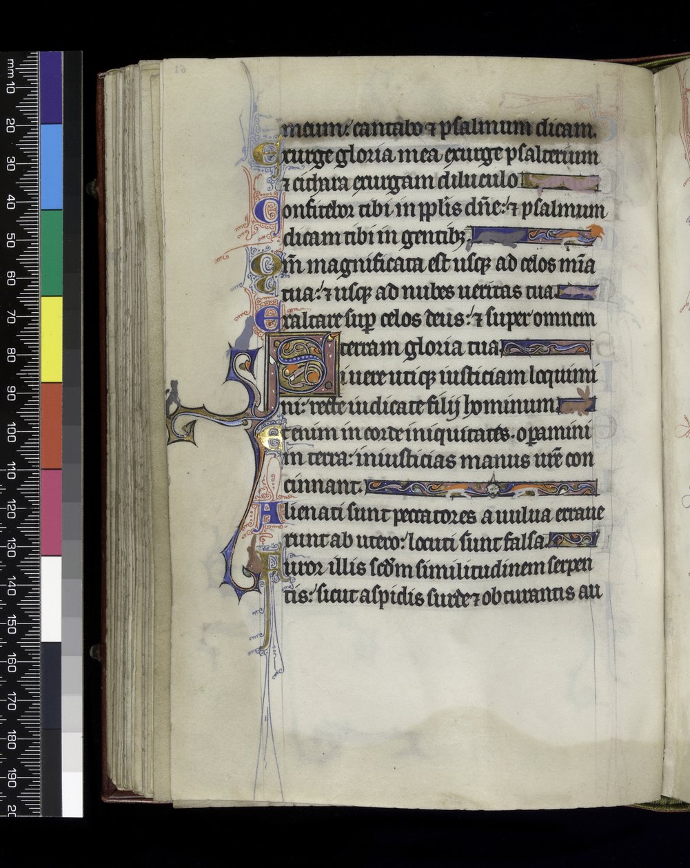 MS 300 f.61v, folio från Psalter and Hours of Isabella of France, Paris, c.1265-70 av French School