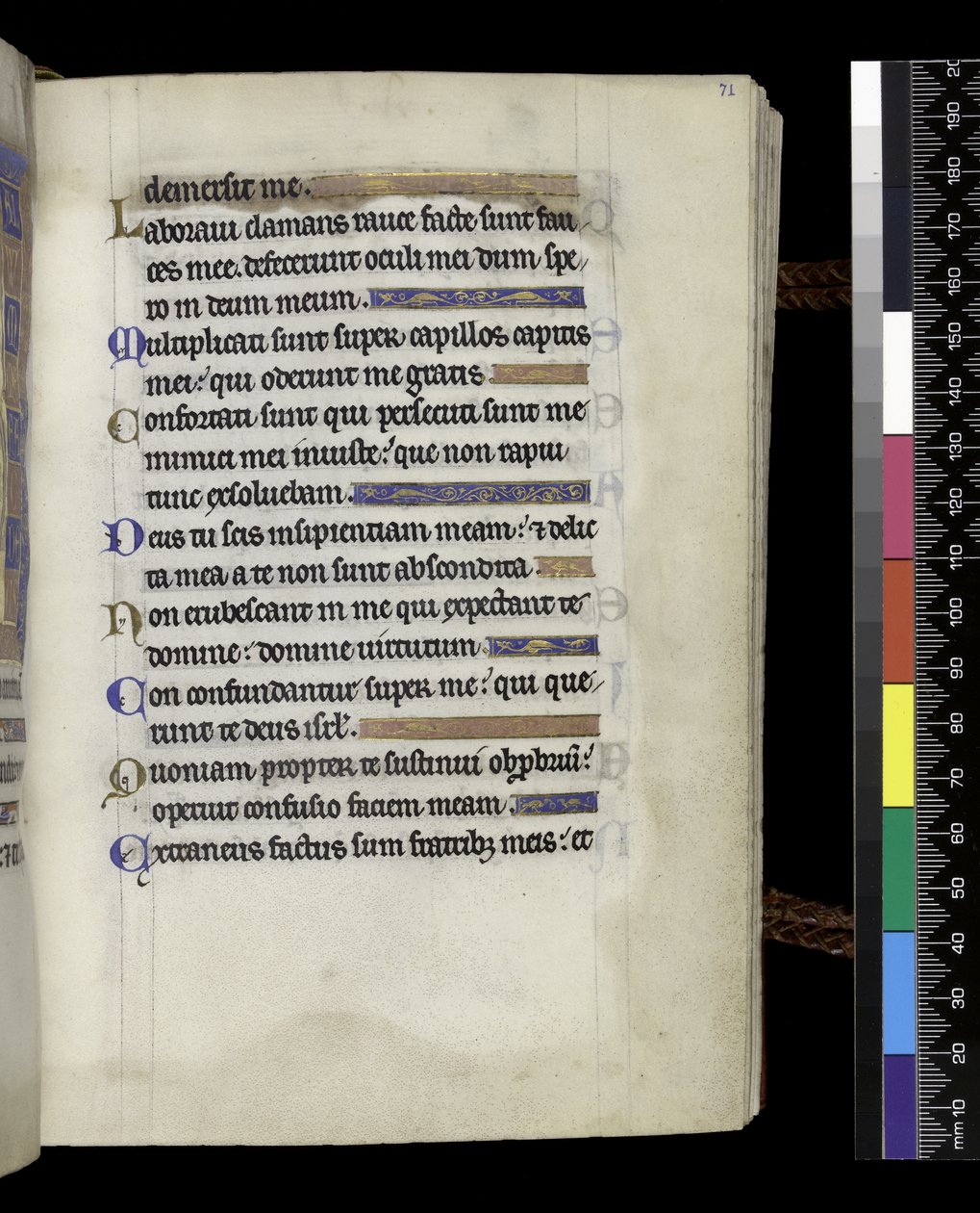 MS 300 f.71r, från Psalter and Hours of Isabella of France, Paris, c.1265-70 (penna & bläck och tempera på pergament) av French School