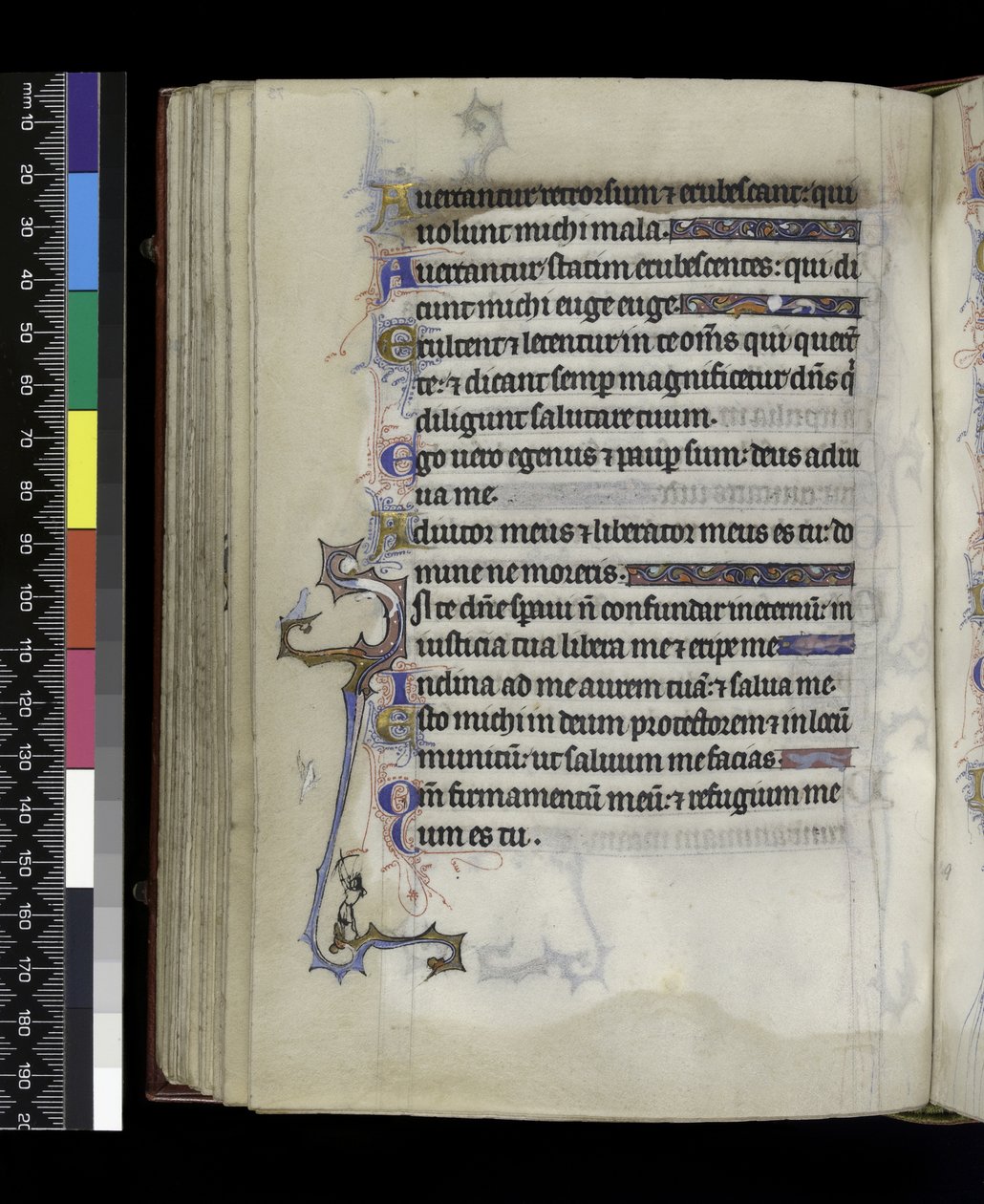 MS 300 f.73v, från Psalter and Hours of Isabella of France, Paris, c.1265-70 av French School