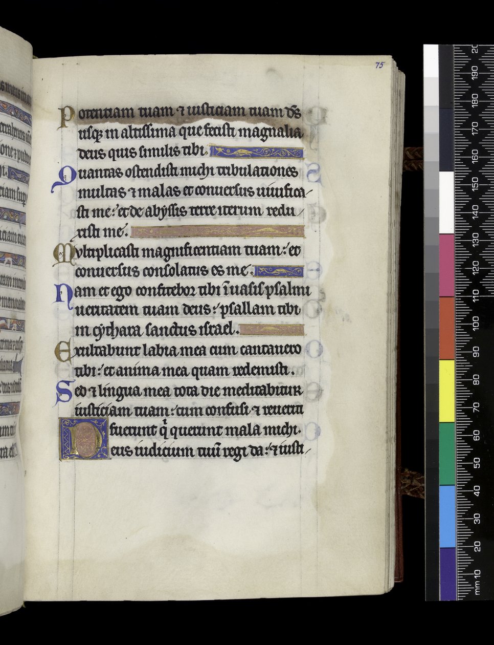 MS 300 f.75r, från Psalter and Hours of Isabella of France, Paris, c.1265-70 (penna & bläck och tempera på pergament) av French School