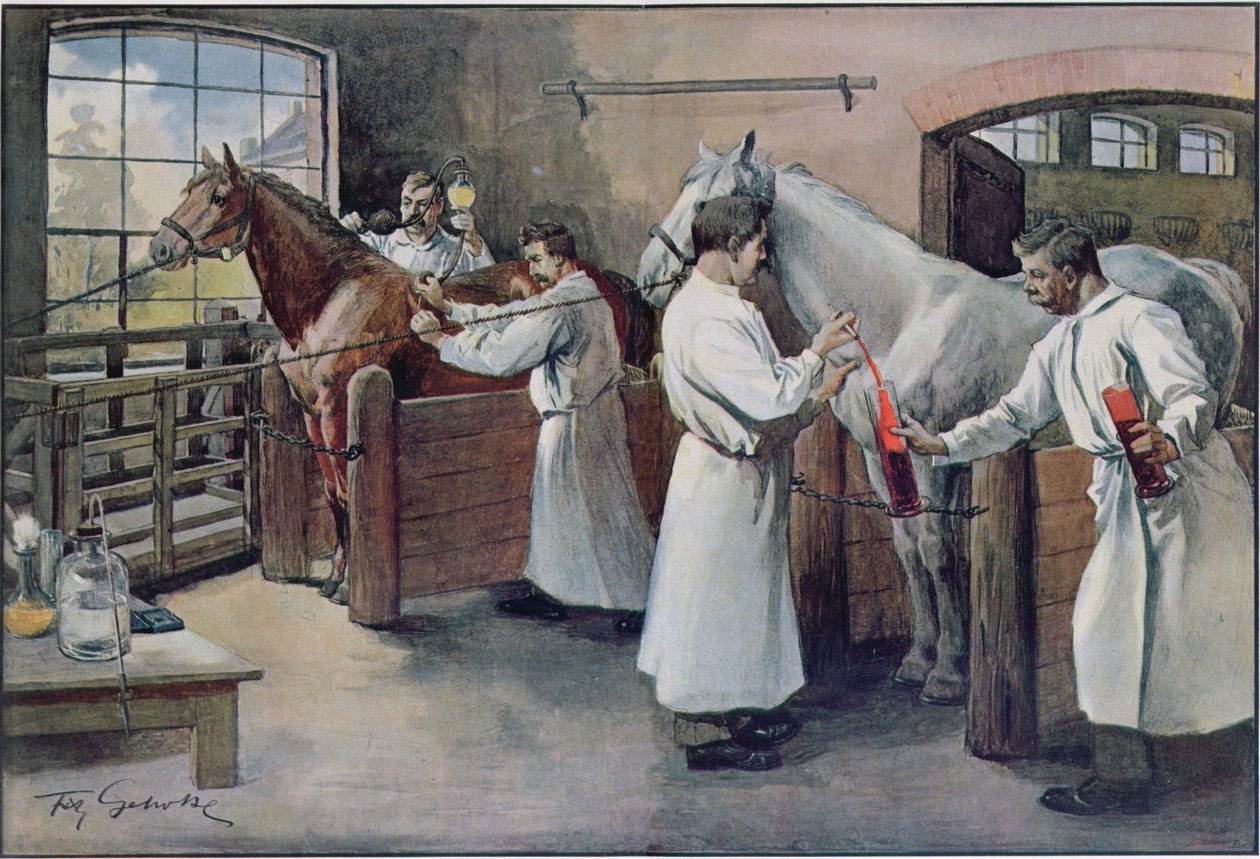 Att göra difteriserum från hästblod, från Les Animaux, ca 1900 av French School