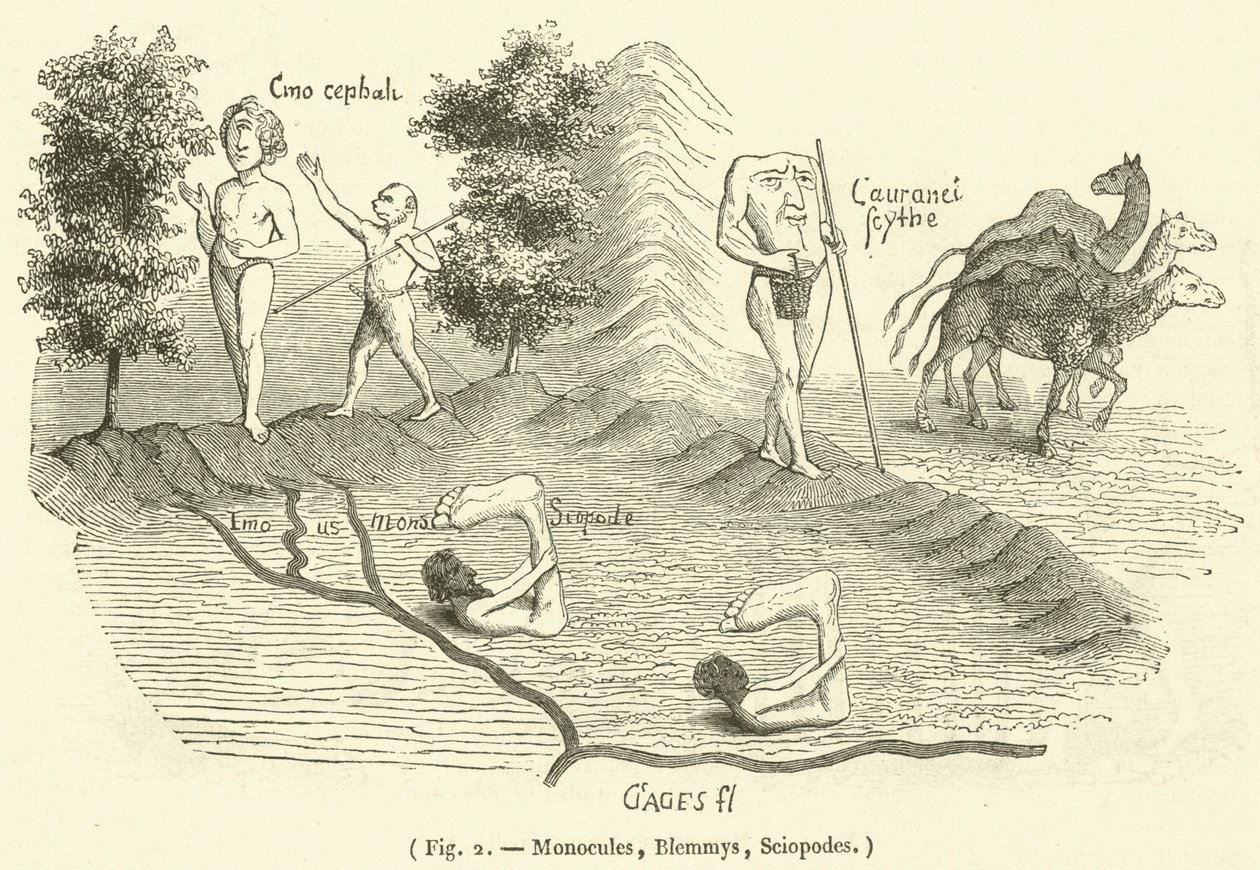 Monocules, Blemmys, Sciopodes (gravyr) av French School