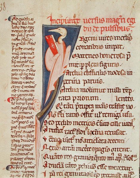 Ms 2046 fol.438 En fågel som håller i en bok av Gilles de Corbeil (1165-1222) från 