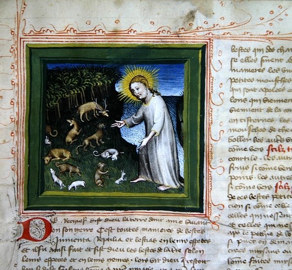 Ms 313 Creation of the Animals, från Bible des Grands Augustins av French School