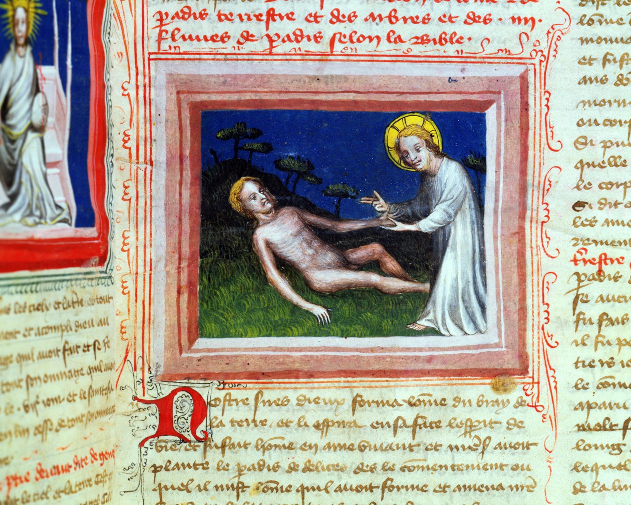 Ms 314 Creation of Adam, från Bible des Grands Augustins, 1494 av French School