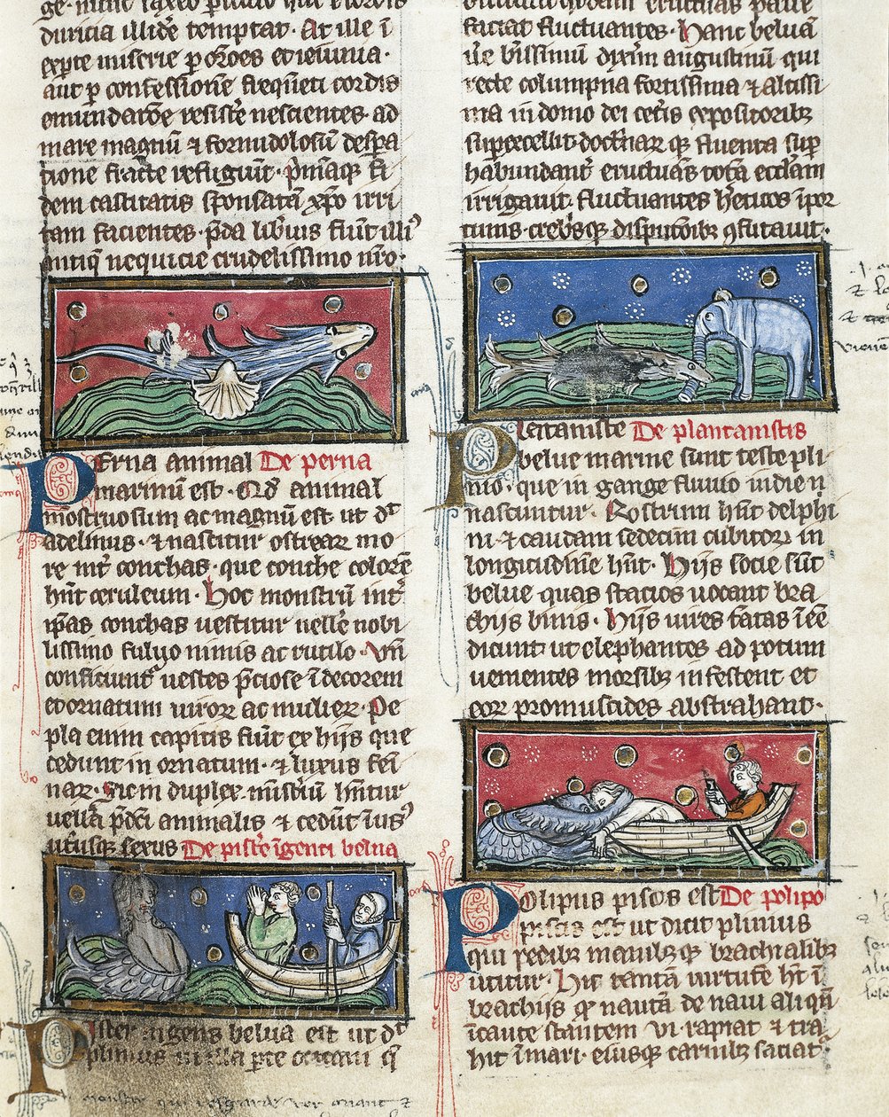 Ms 320 Fol.116 Sea Monsters, från "The Nature of Things" av Thomas van Cantimpre (1201-72) (på veläng) av French School