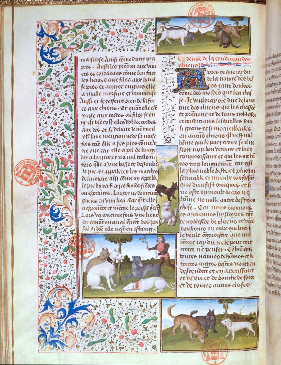 Ms 3717 Jakthundar, från Livre de la Chasse av Gaston Phebus de Foix (1331-91) (vellum) av French School