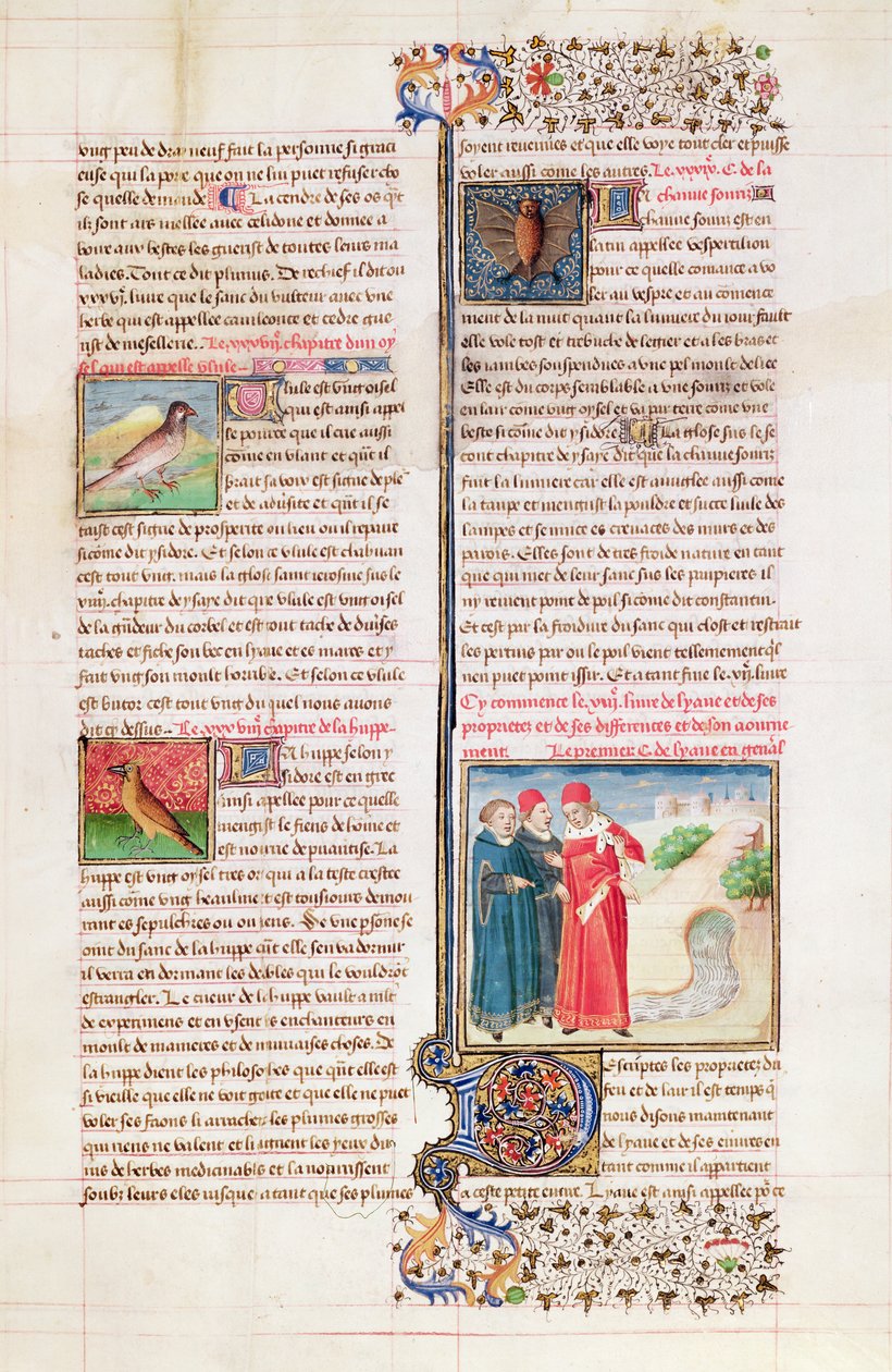 Ms 399 fol. 149 Sköldpaddans, tjuvans och fladdermusens egenskaper, från 