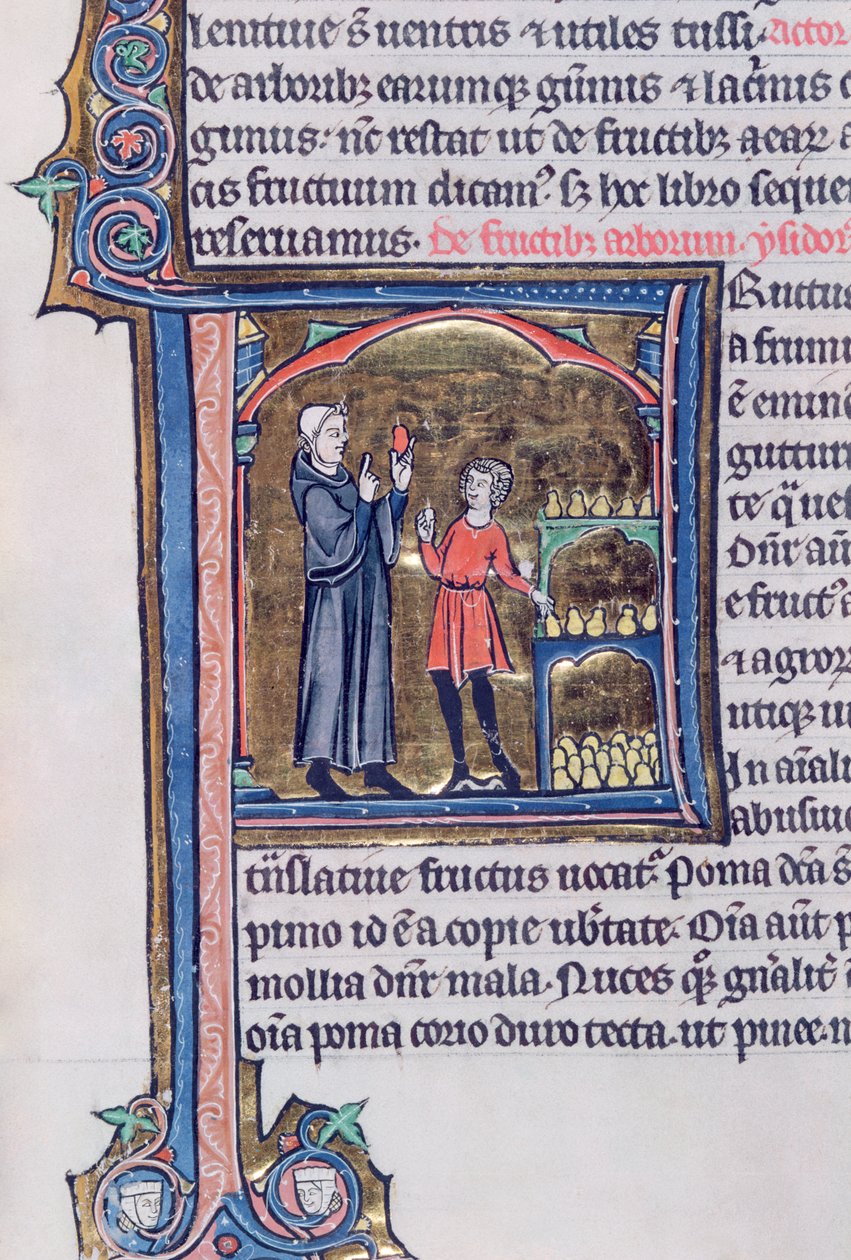 Ms 426 fol.135 Lär ut det bästa sättet att bevara päron, från Le Miroir de la Nature av Vincent de Beauvais av French School