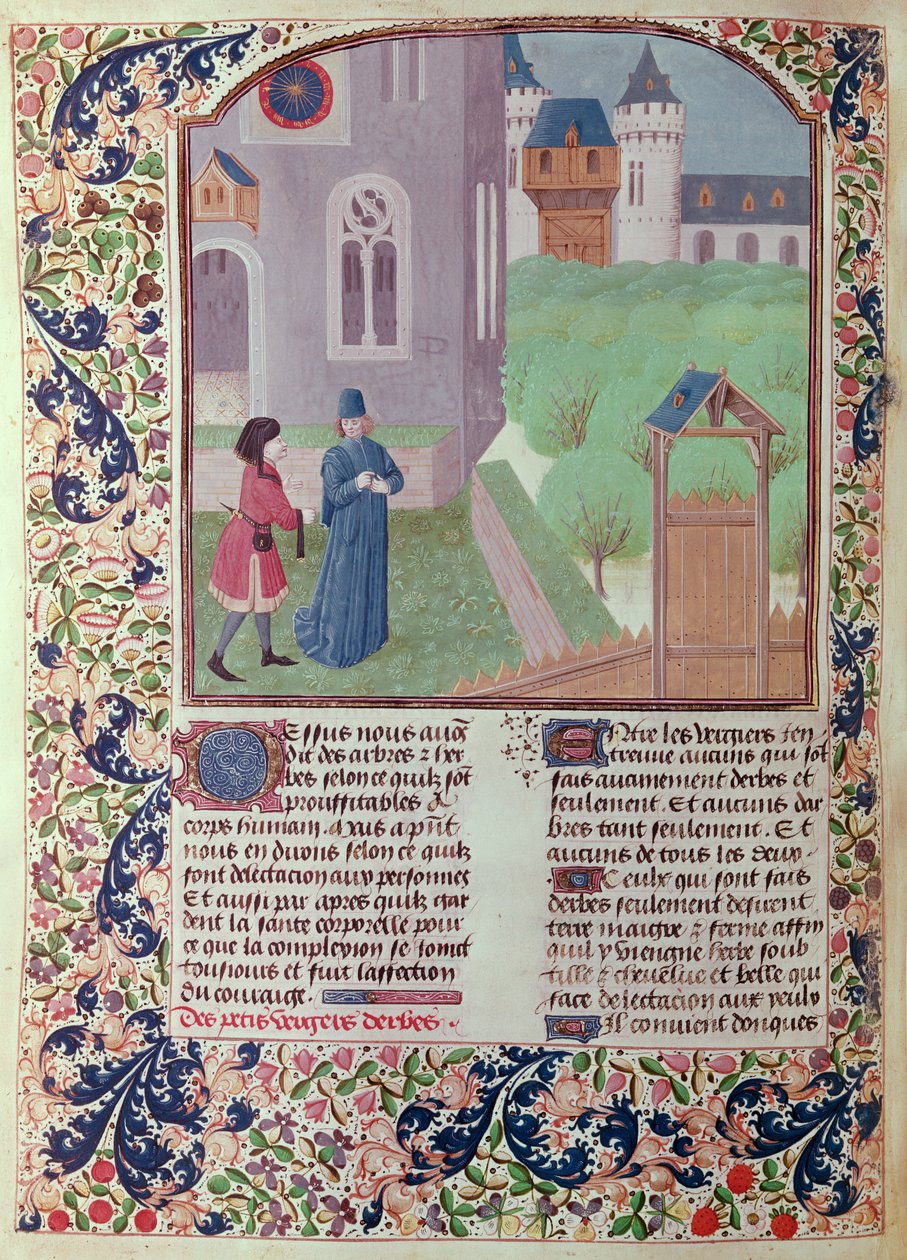 Ms 5064 f.202v The Orchard, illustration från Le Livre des Prouffitz Champestres av Pietro de Crescenzi (1230-132021) av French School