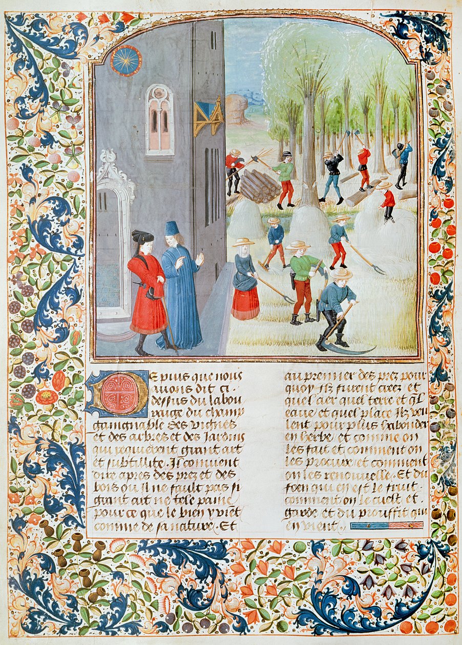 Ms 5064 fol.198v Kapning av träd och skörd, från Livre des Prouffitz Champestres av Pietro de Crescenzi (1230-132021) av French School