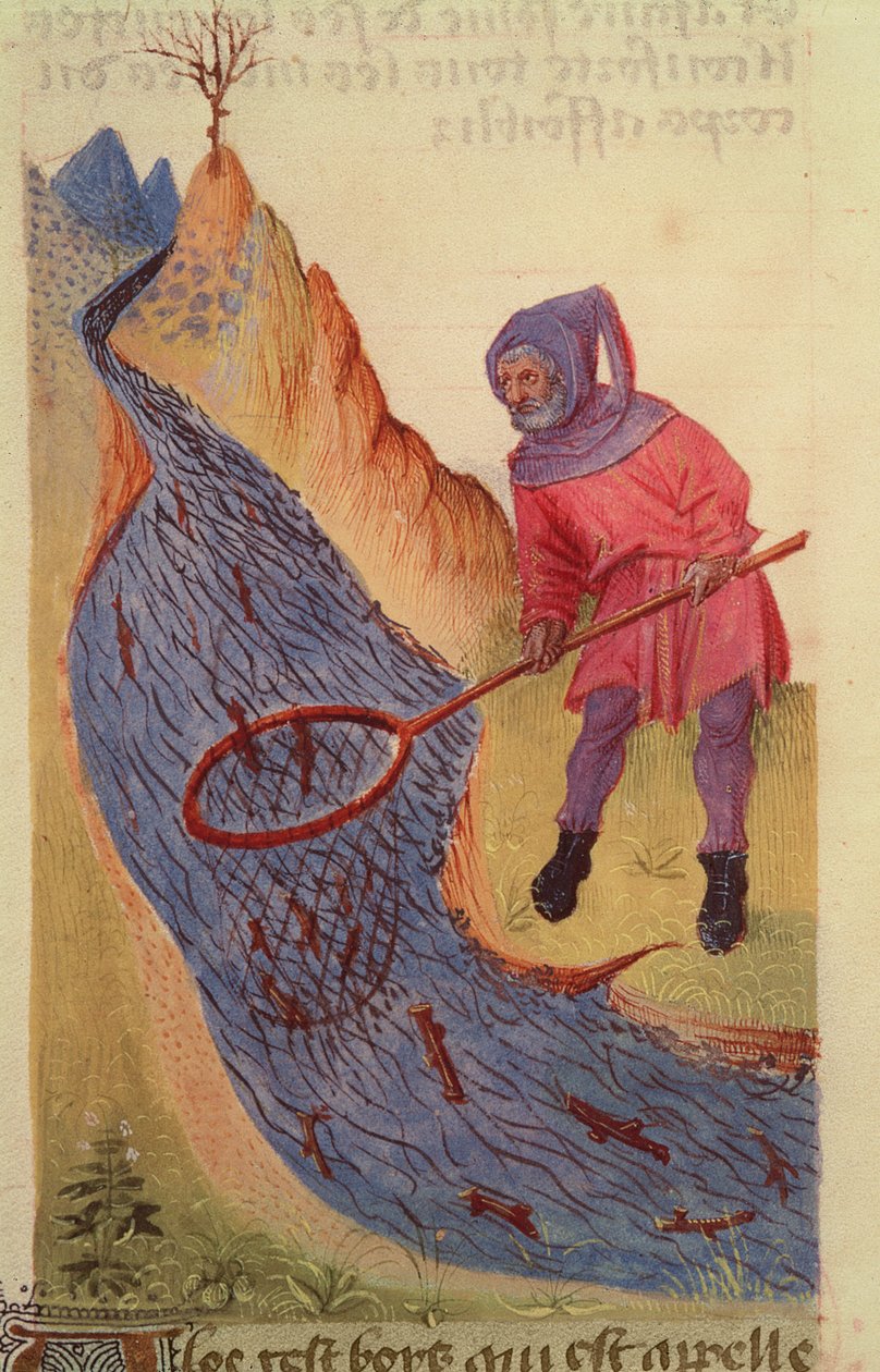 Ms 59 fol.3r Fisherman, från Grand Herbier av French School