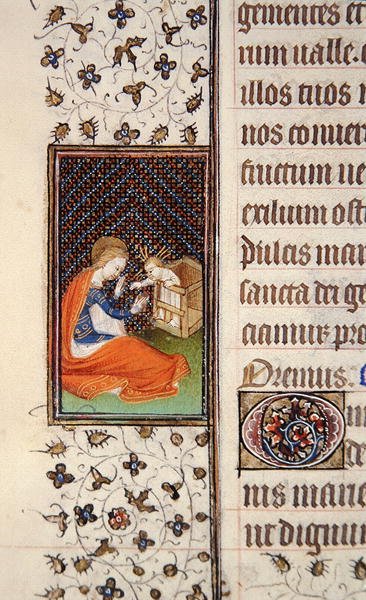 Ms 62, f.205v: Virgin and Child, detalj från en fransk timbok, c.1445-50 (vellum) av French School