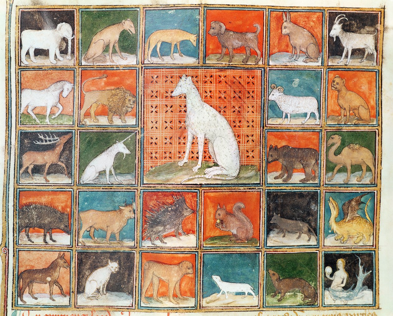 Ms 993 fol.254v The Properties of Beasts: The Mammals, från Le Livre des Proprietes des Choses av Jean Cordichon av French School