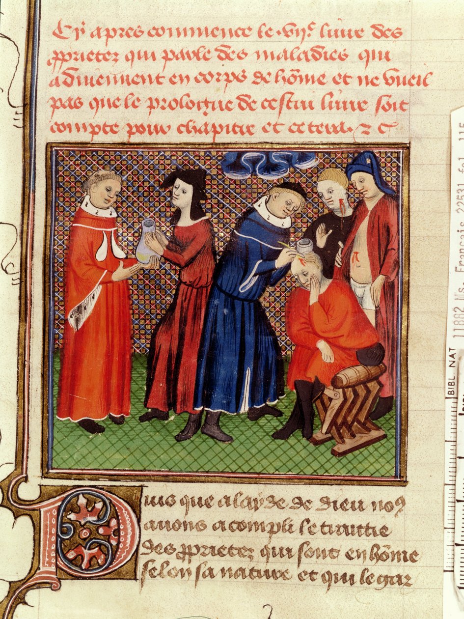 Ms Fr 22531 Fol.115 Urinundersökningen och läkningen av sår, från Le Livre des Proprietes des Choses av Barthelemy lAnglais, c.1410-15 av French School