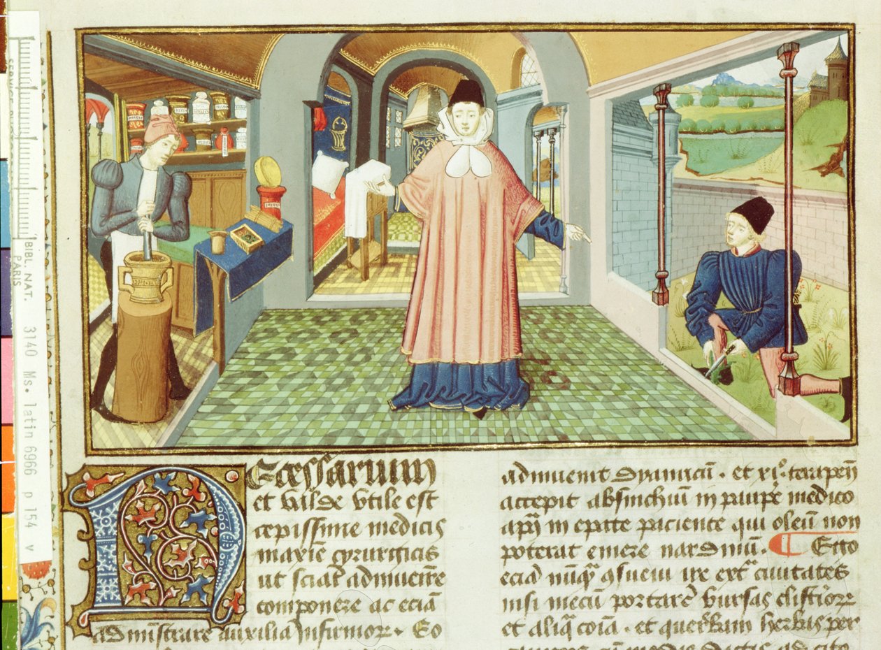 Ms Lat 6966 fol.154v Att skära växter och förbereda medicin, från LAntidotaire av Bernard de Gordon av French School