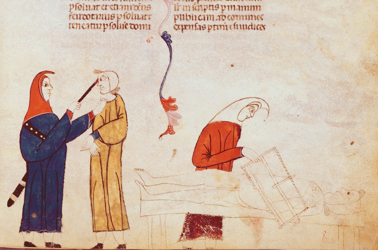 Ms Lat 9187 fol.24 Tortyrscen, från Les Coutumes de Toulouse av French School