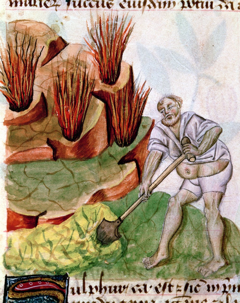 Ms Lat 993 L.9.28 f.123v Looking for Sulphur, från Dioscorides De Herbis av French School