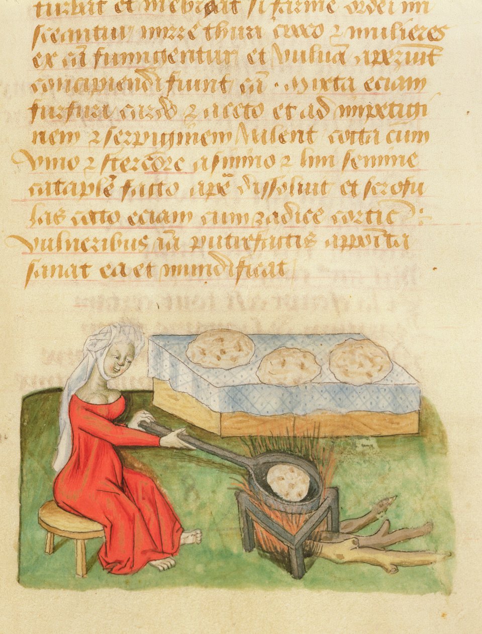 Fröken. Tractatus de Herbis av Dioscorides, fol.142r Baking Bullar av French School