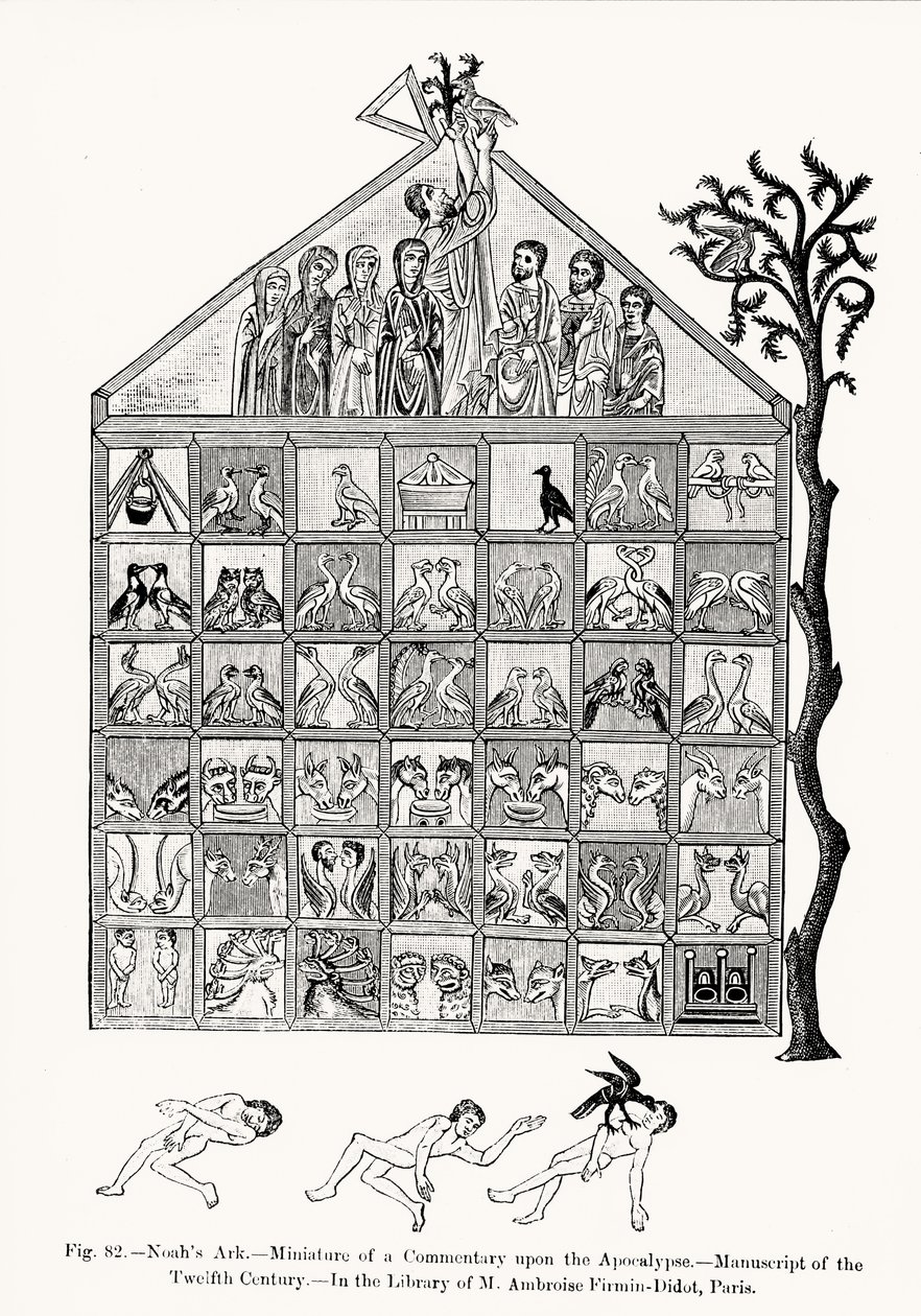Noaks ark, miniatyr från en kommentar till apokalypsen, illustration från vetenskap och litteratur under medeltiden och renässansen, skriven och graverad av Paul Lacroix, 1878 (svartvitt foto av French School