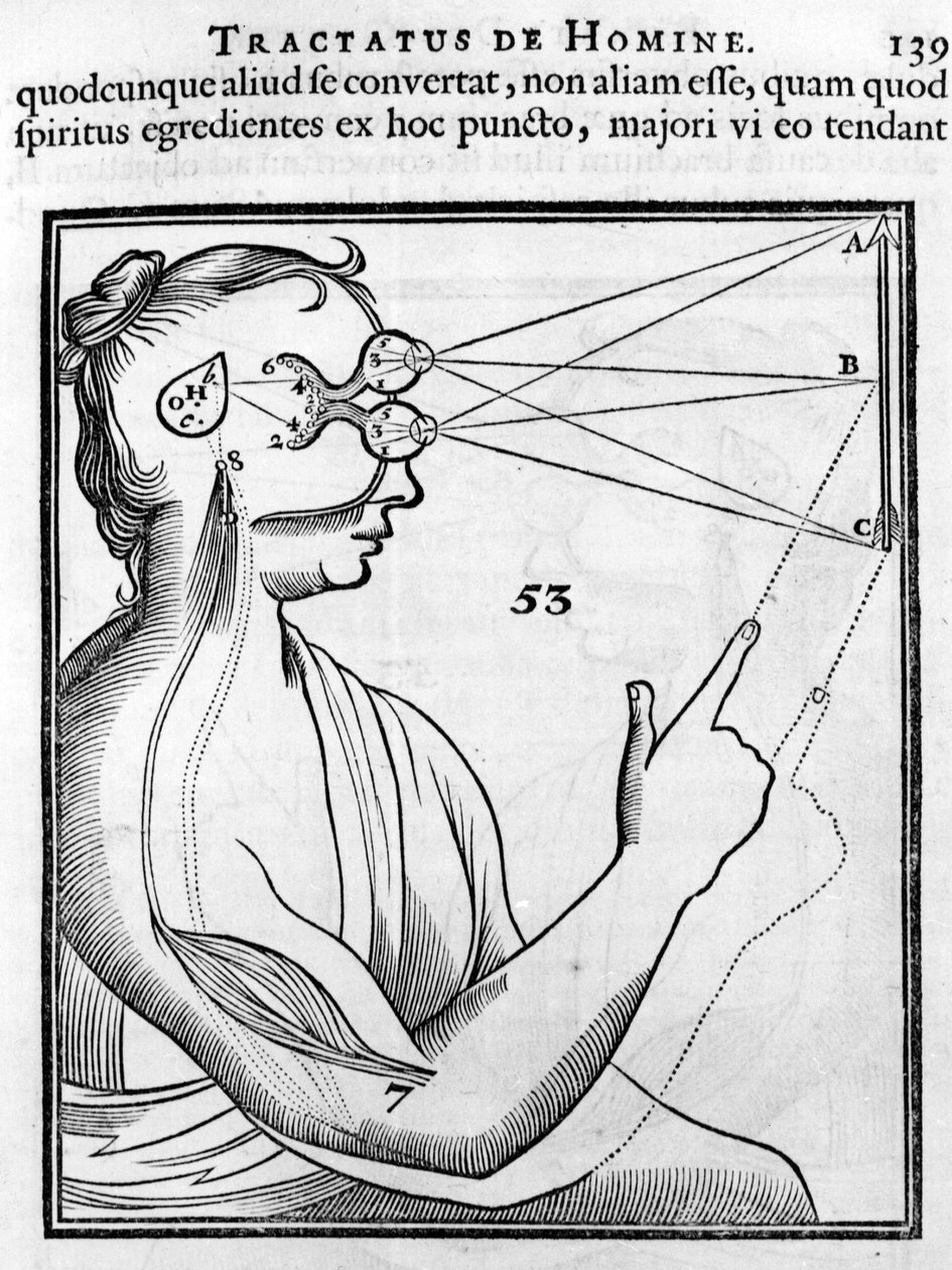 Oftalmologi: ögat och synen. Från "Tractatus de Homine" av Rene Descartes av French School