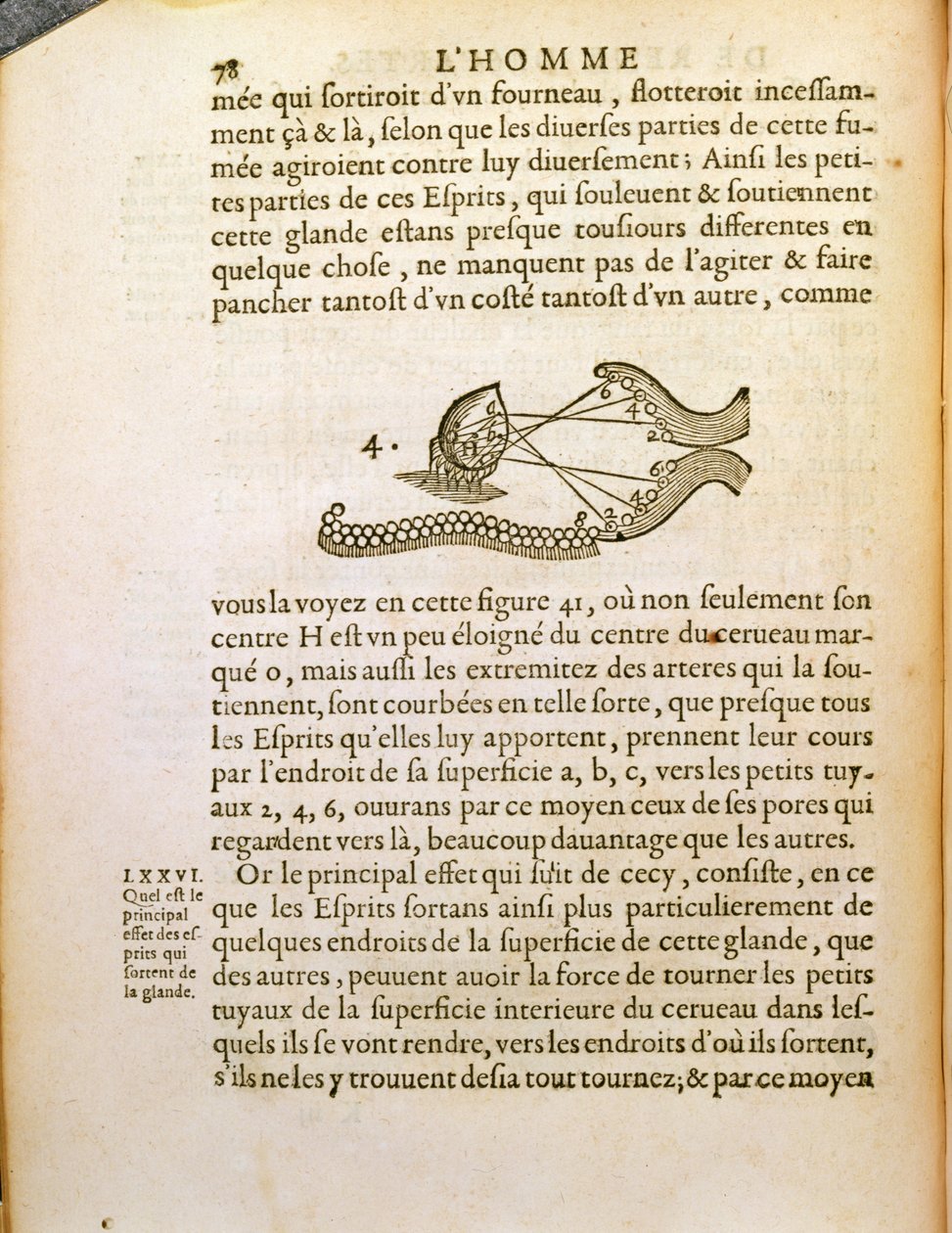 Optiskt diagram, från De Homine Figuris av Rene Descartes (1596-1650) publicerat i Haag, 1662 av French School